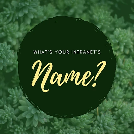 intranet-name