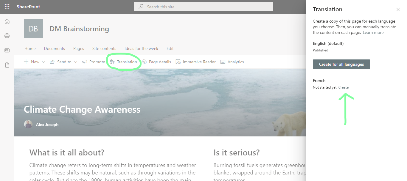 Click on translation and choose create under French