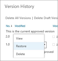 Vesrion History View