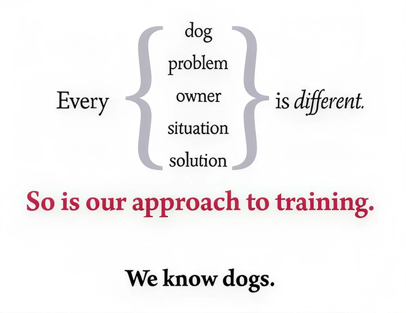 Text stating: Every dog, problem, owner, situation, solution is different, so is our approach to training. We know dogs.