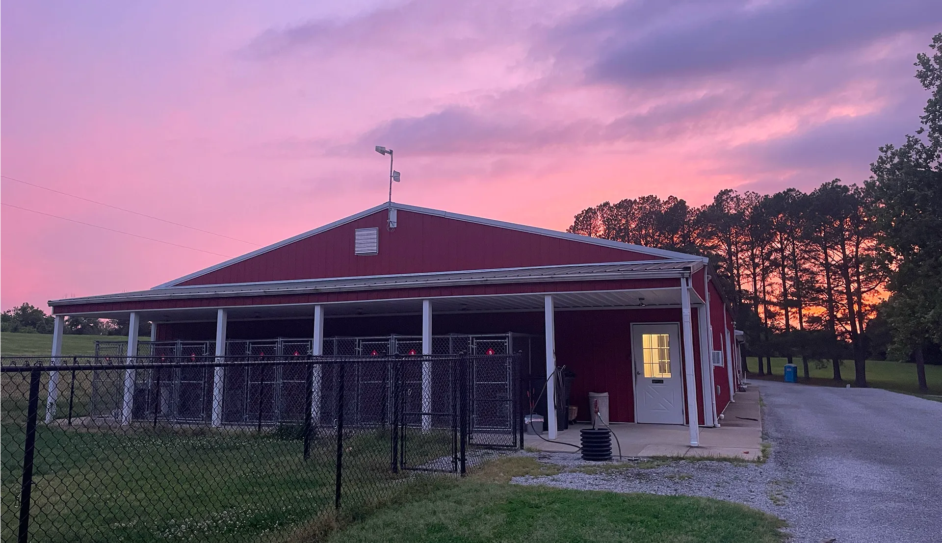 Red barn-style building with covered outdoor dog kennels behind a black chain-link fence during a pink and purple sunset, with trees and a gravel driveway on the right.