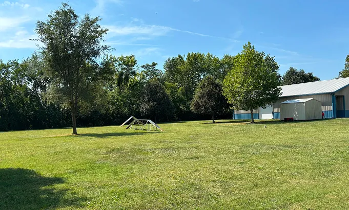 Open green field with a few trees scattered and a dog agility ramp in the center, under a clear blue sky, next to a large light-colored building with a shed.