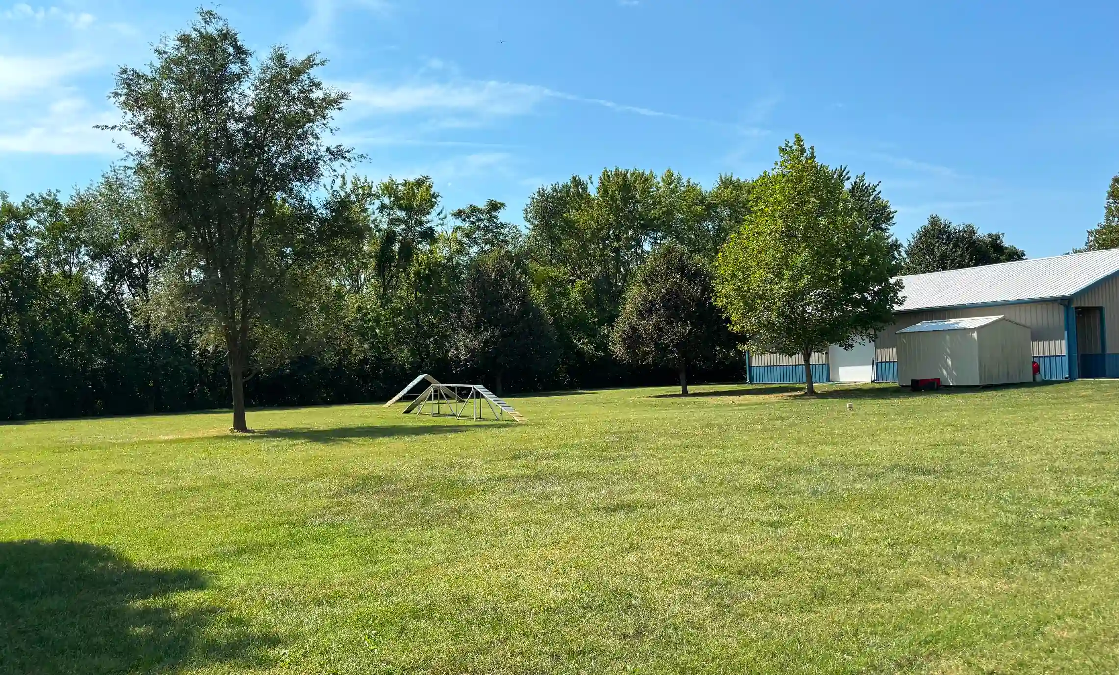 Large grassy yard with scattered trees, a small metal ramp structure likely for dog agility, and a metal building with an adjacent shed under clear blue sky.