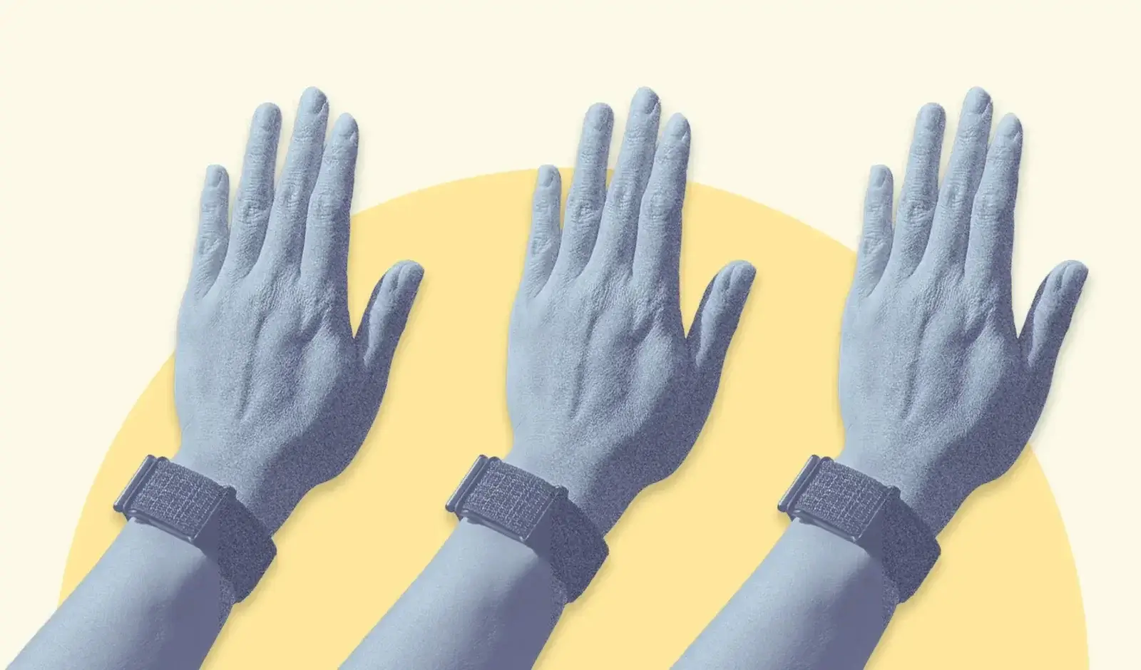 Introducing: Visible Band 2.0