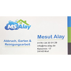 MS-Alay