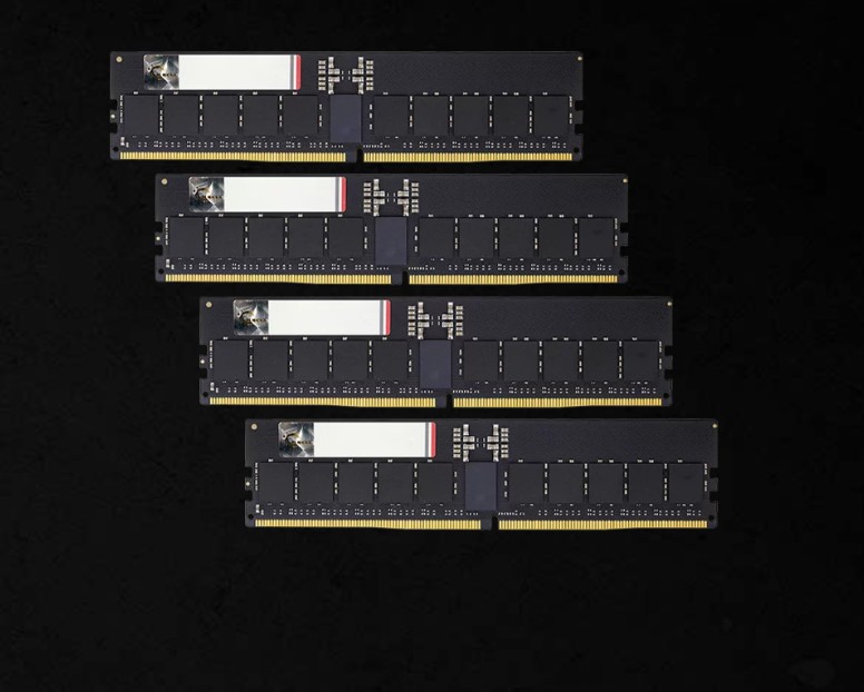 G.SKILL F5-6000R3036G16GQ4-G5N 64GB (4 x 16GB)/ DDR5 6000 MT/s/ Timings 30-36-36-96/ Volta