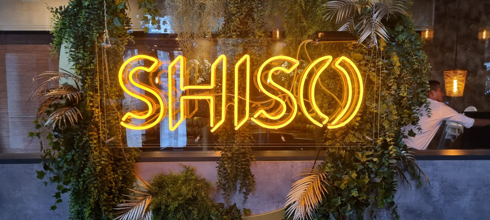 Yellow neon sign spelling 'SHISO' surrounded by hanging green plants and foliage with a person sitting in the background.