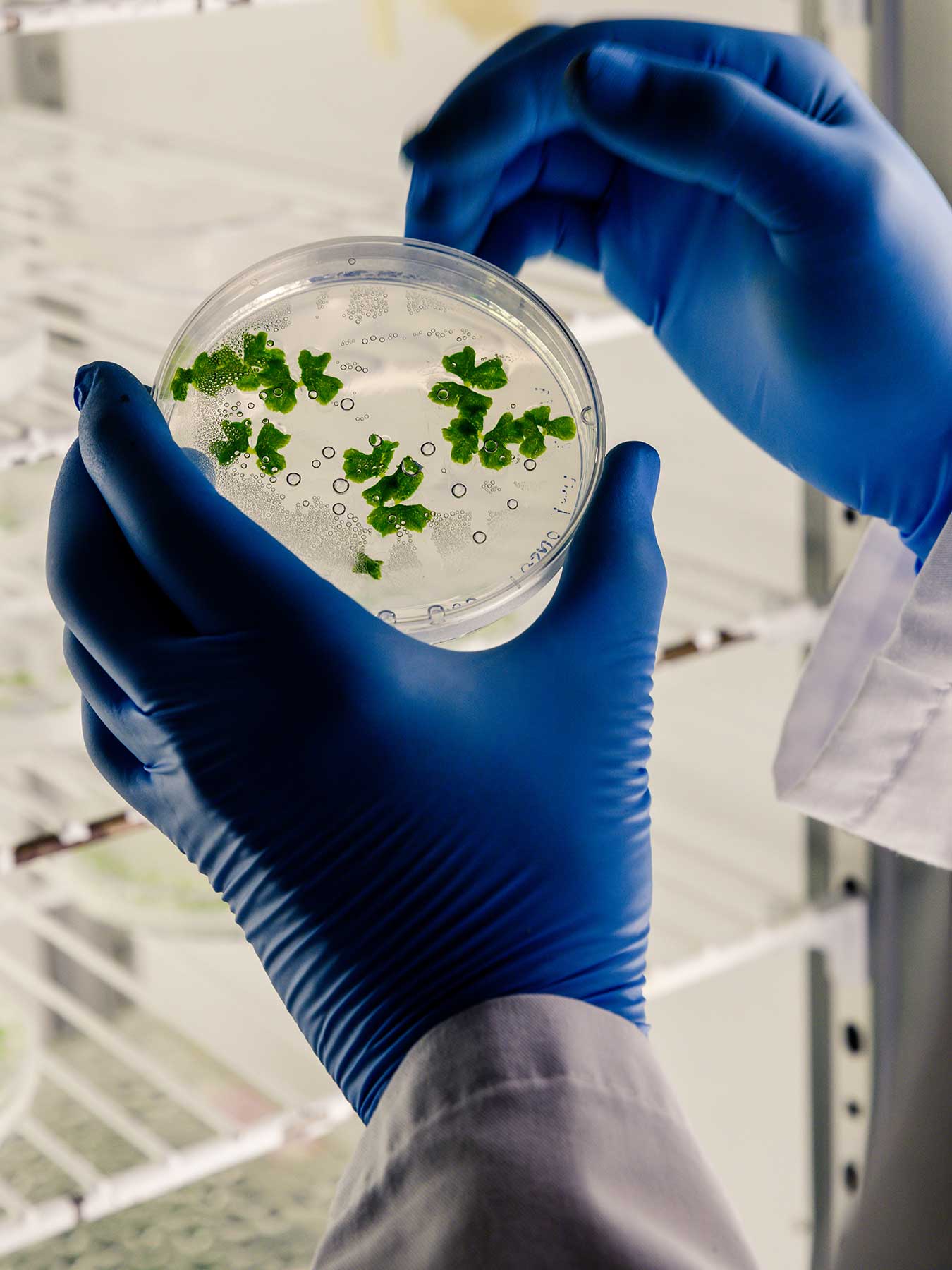 Global Biotechnology Leader