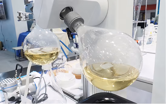 Laboratory equipment setup including round-bottom flasks containing a pale yellow liquid attached to a rotary evaporator in a scientific workspace.
