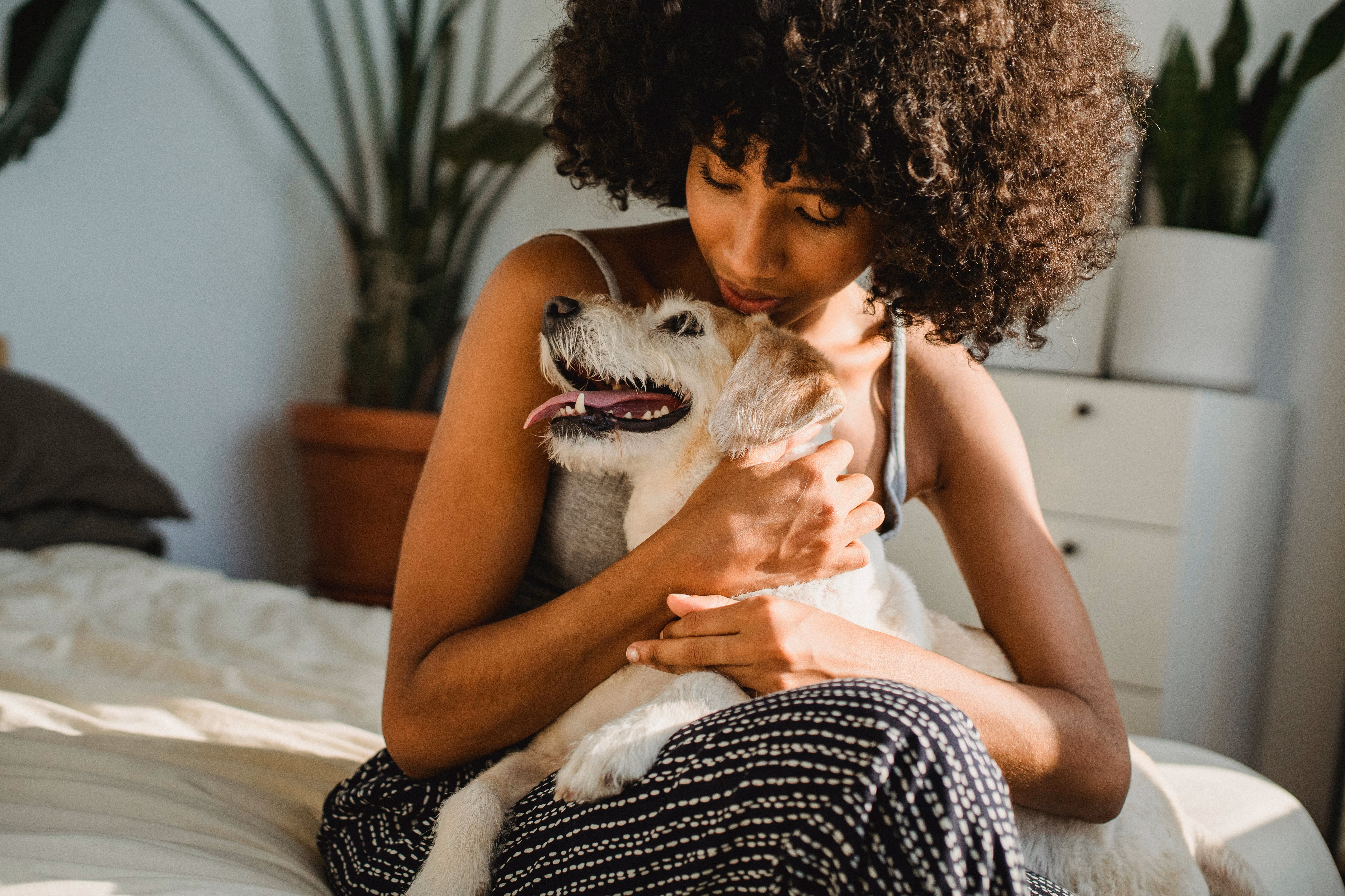 Woman holding dog on bed stock image