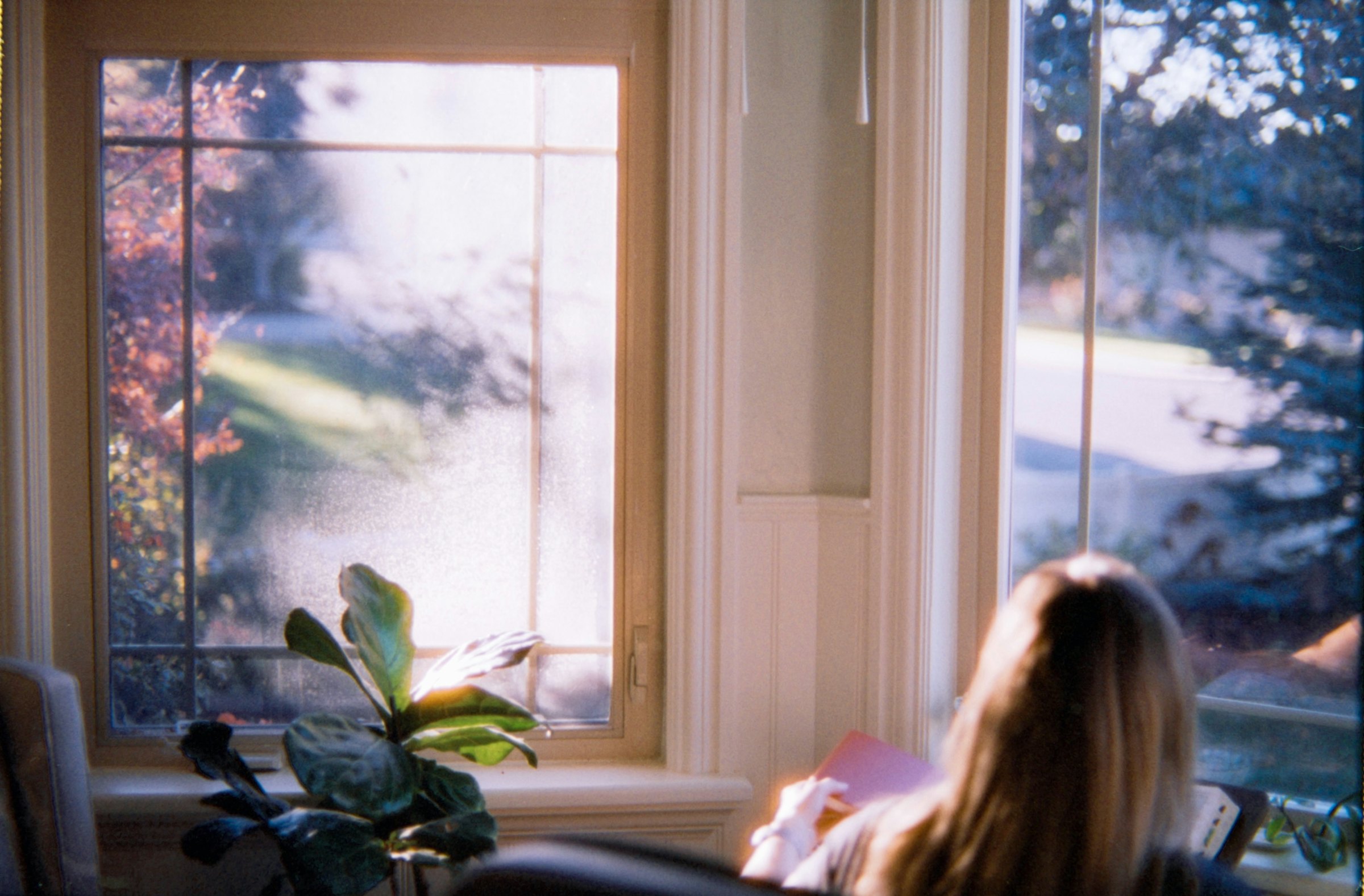 A person reading beside a sunlit window at home.