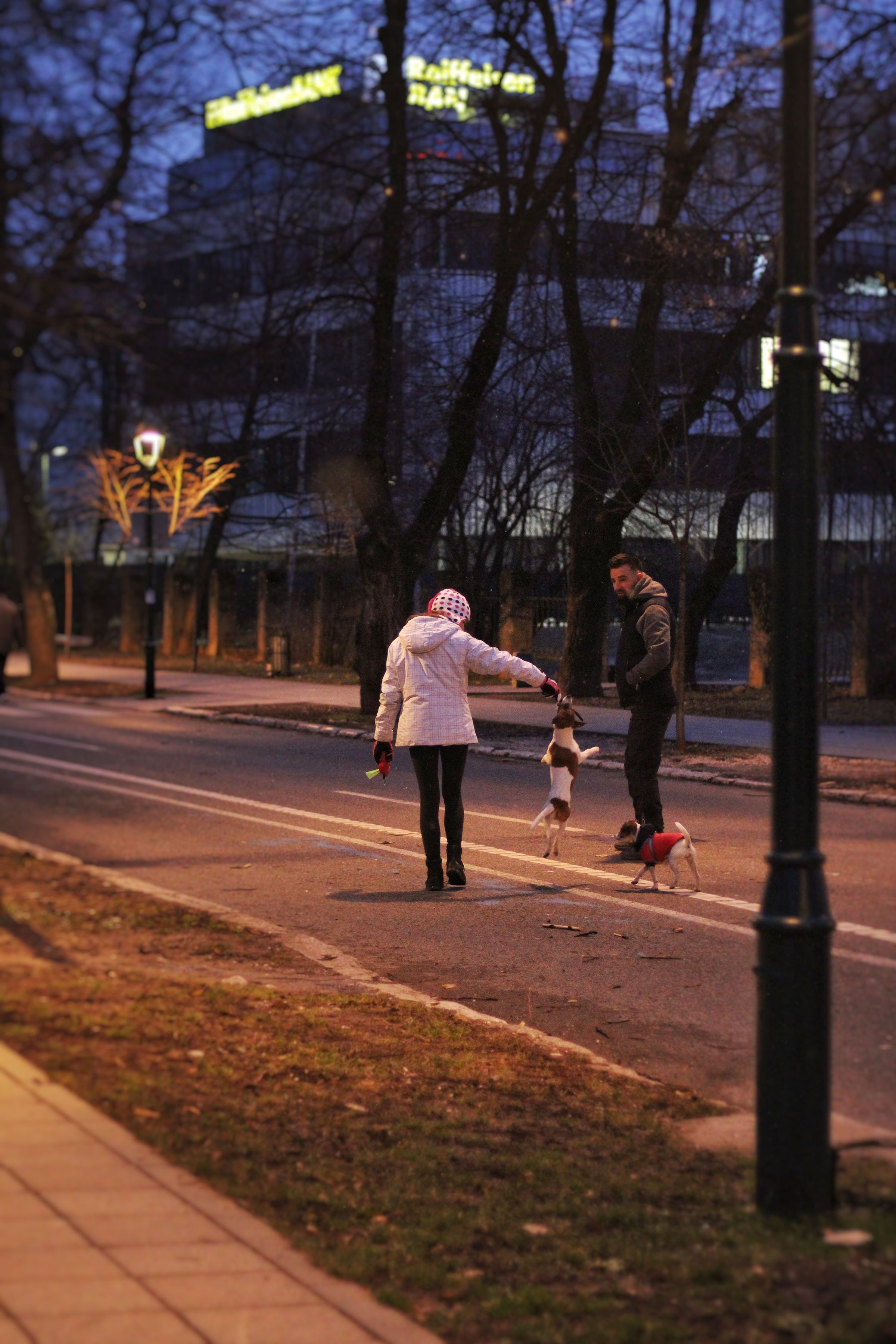 Two people share a playful moment with their dogs on a quiet city street at dusk.