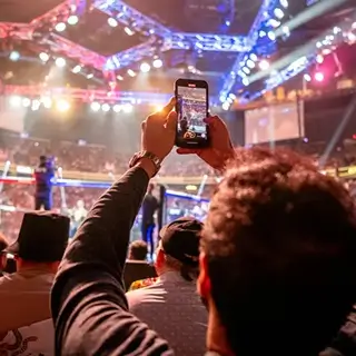 Exclusive behind-the-scenes collage from UFC VIP events.