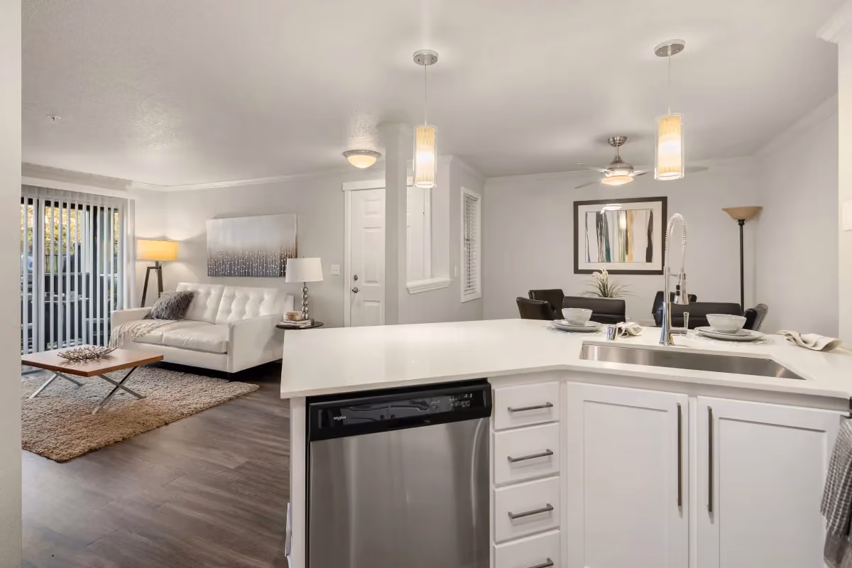Kitchen and Living Room