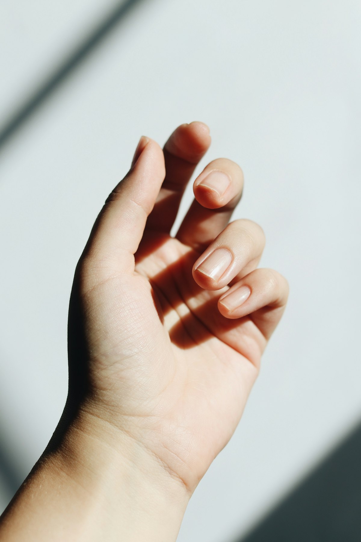 An open hand raised in soft daylight against a pale wall, casting a gentle shadow