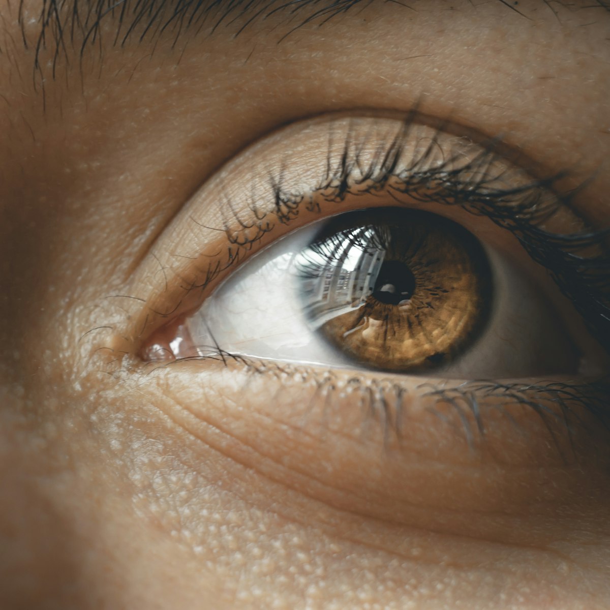 Macro close-up of an open eye with a brown iris and dark lashes