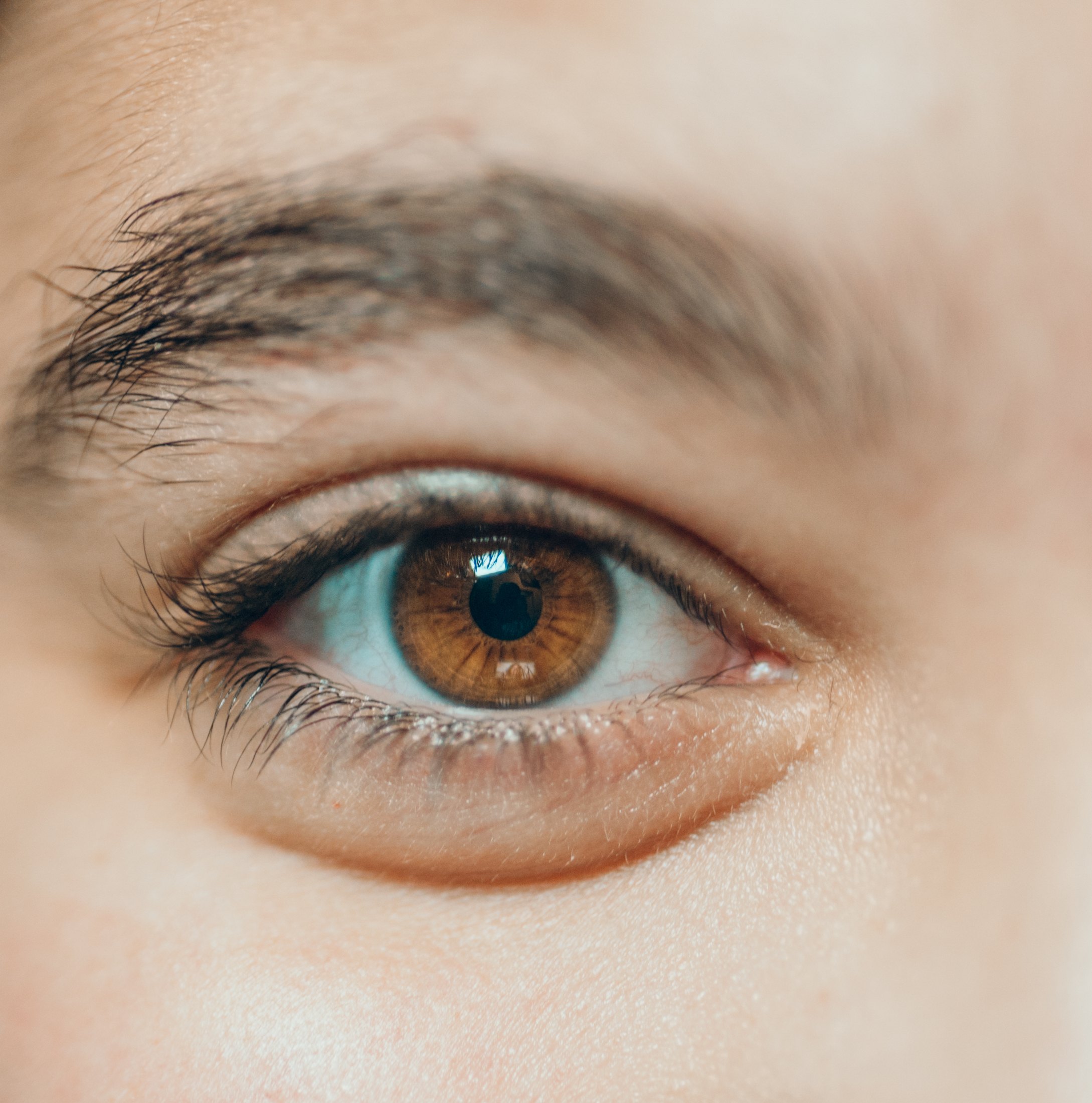 Macro close-up of a brown iris and the skin beneath the eye