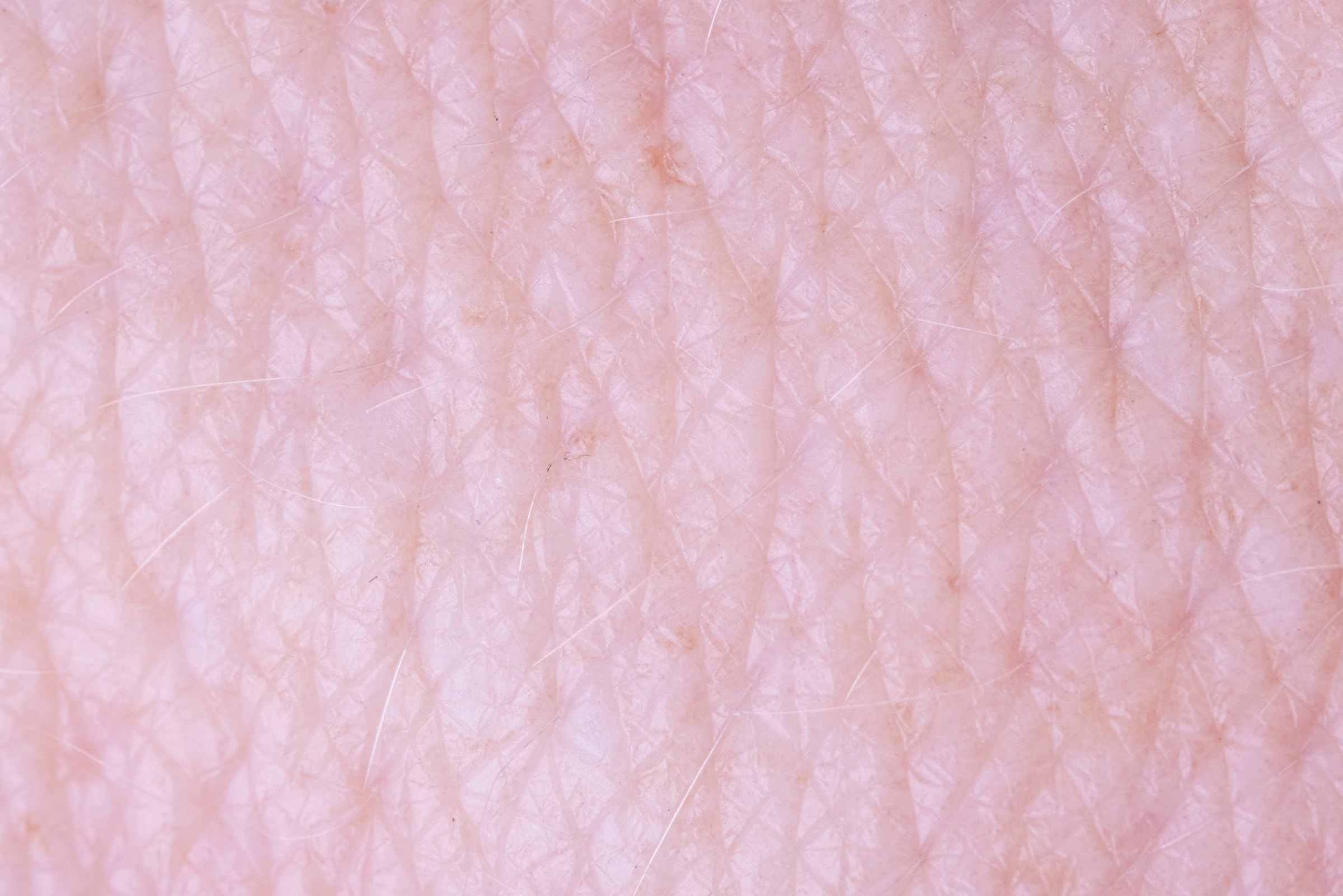 Macro photograph of skin with fine lines and natural texture