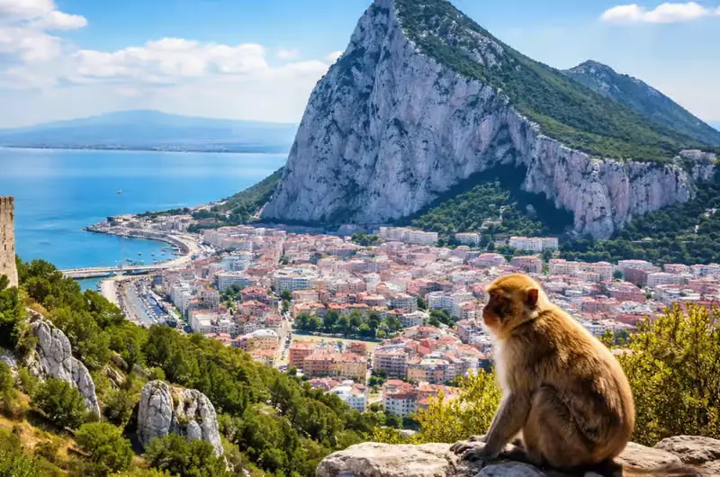Plano general de Gibraltar con un mono en primer plano