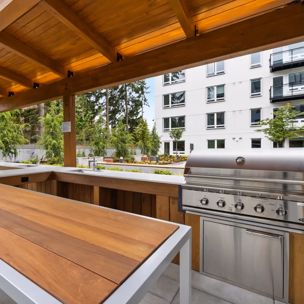 Outdoor Grilling Station 