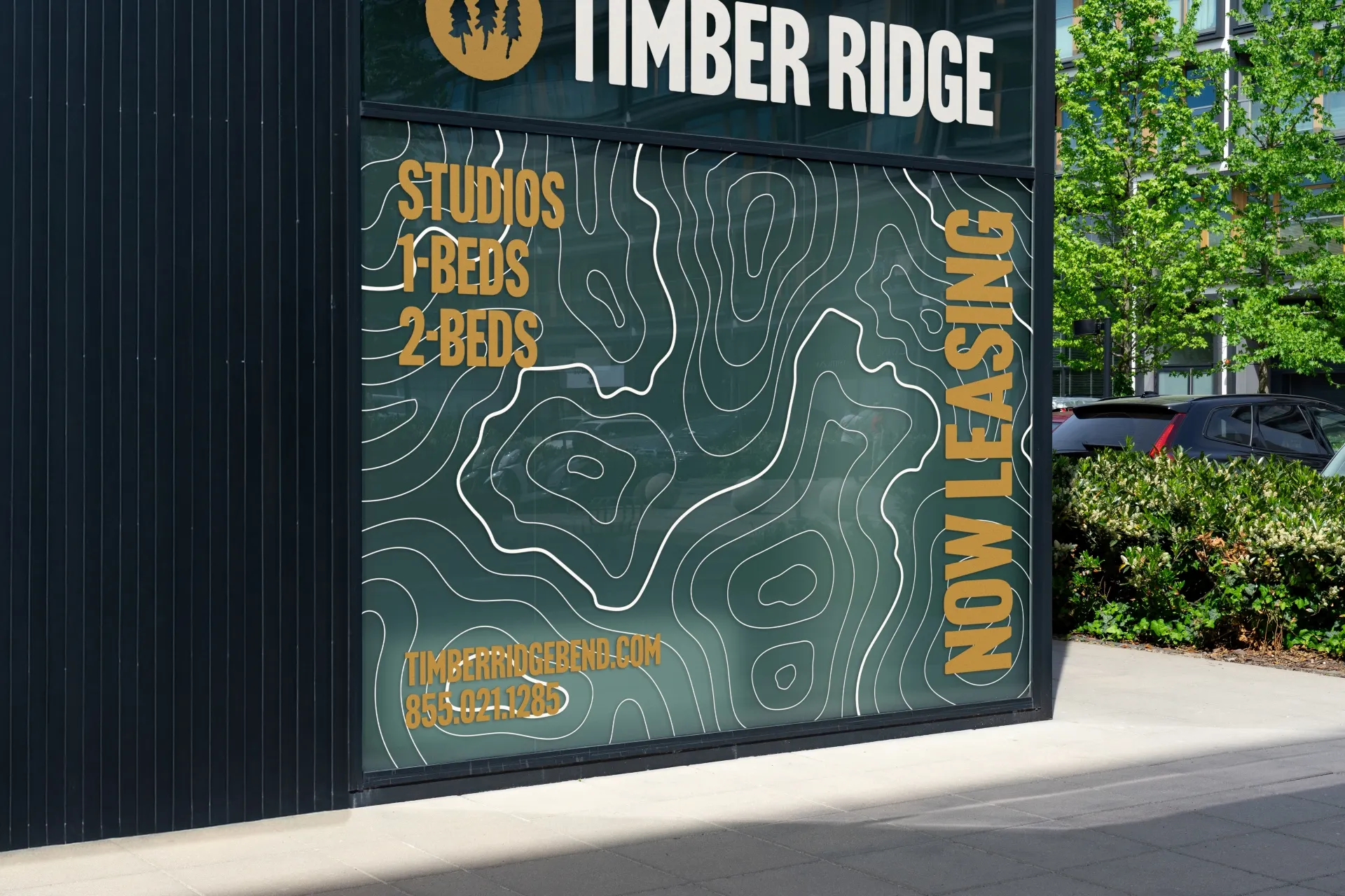 Window graphic mockup for Timber Ridge Apartments