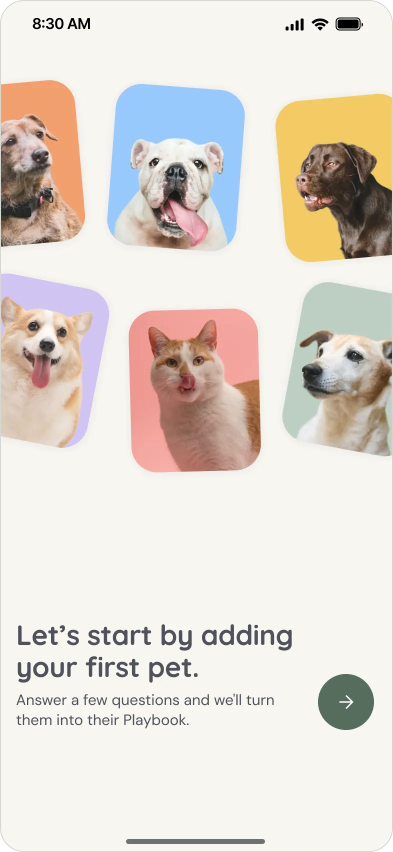 PetPlaybook app screen: Let's start by adding your first pet
