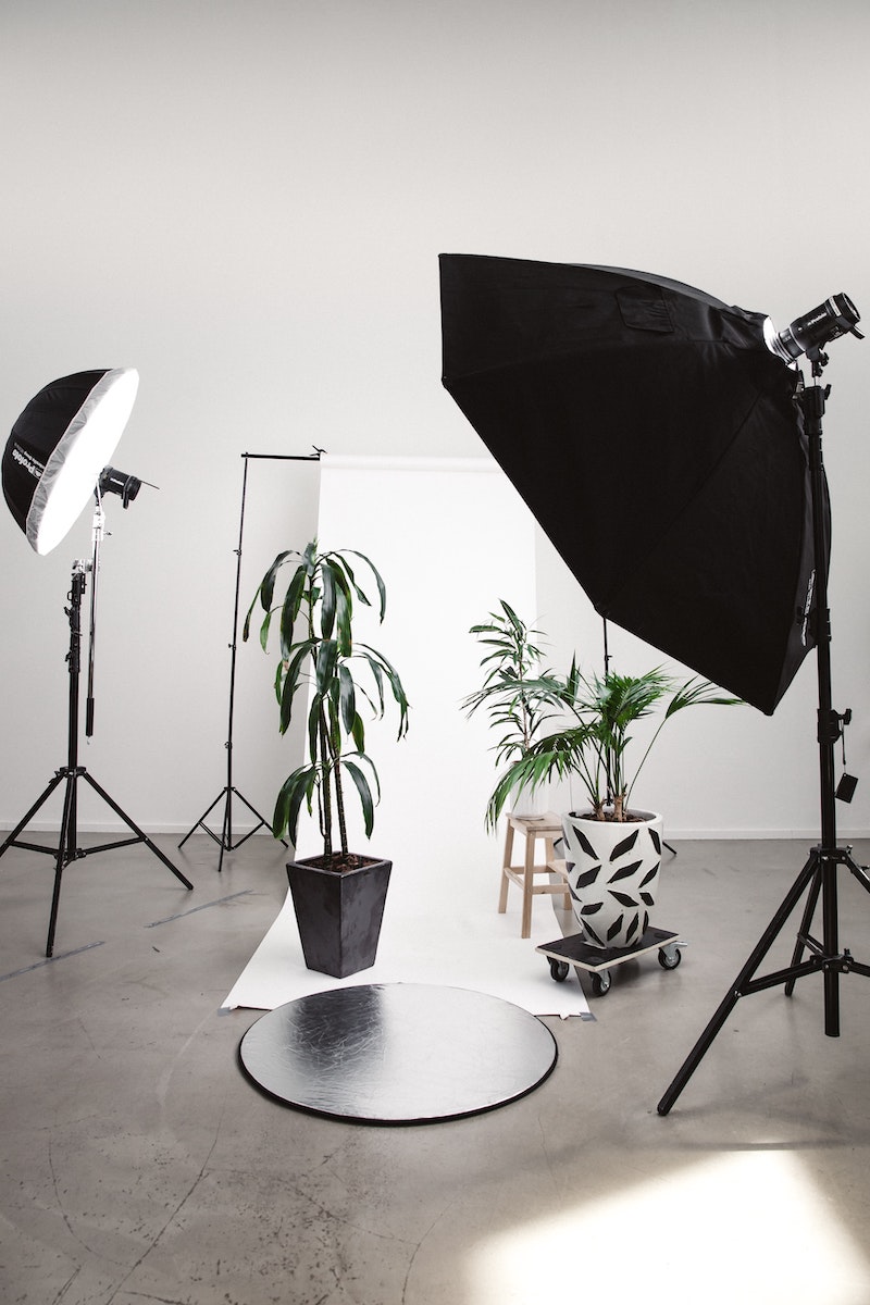 Photoshoot of plants