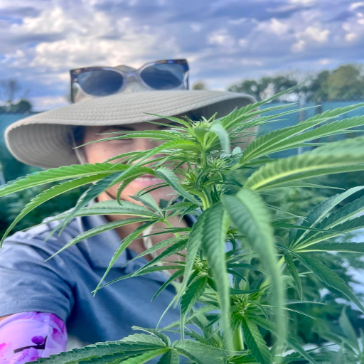 Kathy at eye level with the tops of the plants