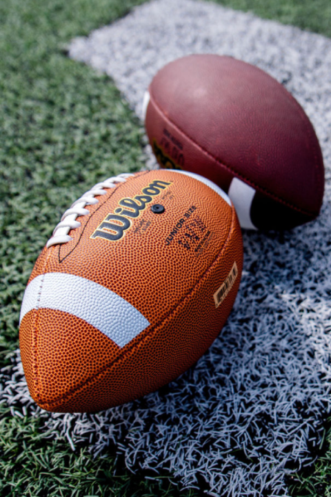 Football training balls arranged on artificial turf along a white field line.