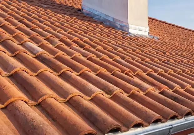 Nettoyage et démoussage de toiture à Bayonne : le guide complet