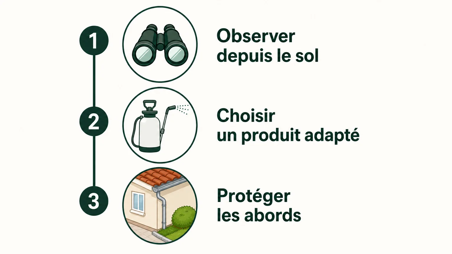 Trois repères pour préparer un nettoyage de toiture depuis le sol
