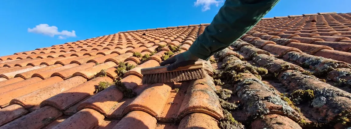 Démoussage d'une toiture à la brosse, mousses et lichens retirés à la main