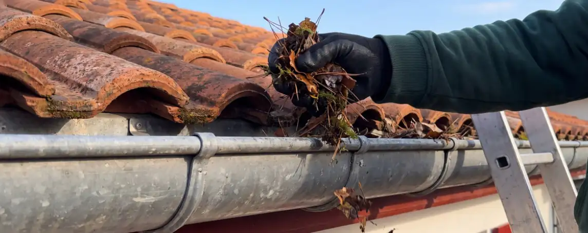 Retrait à la main des feuilles accumulées dans la gouttière, nettoyage de gouttière à Bayonne