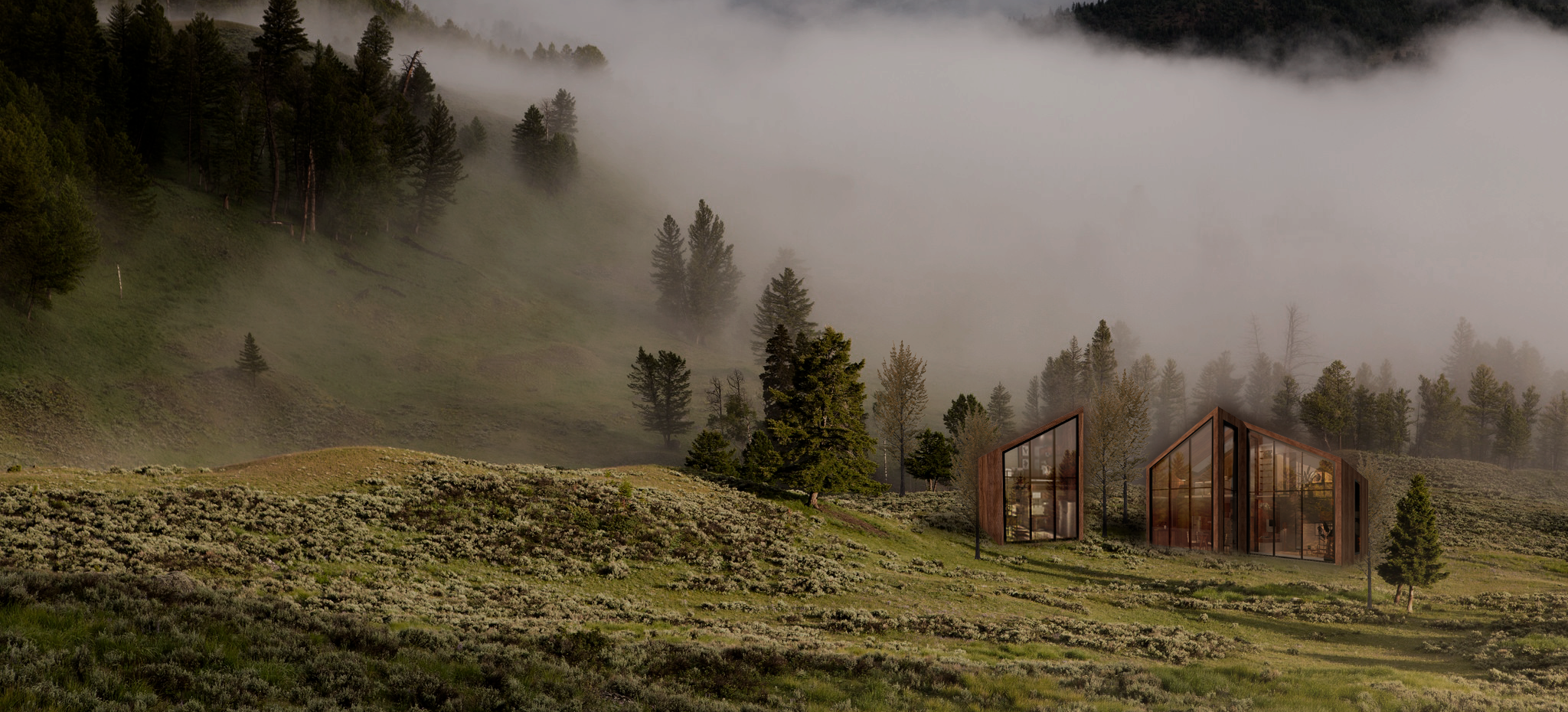Two Tiny House WM volumes on a grassy slope as fog rolls down the pine hillside behind them