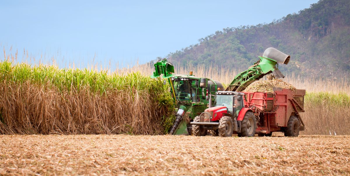 Sugar Mill Australia