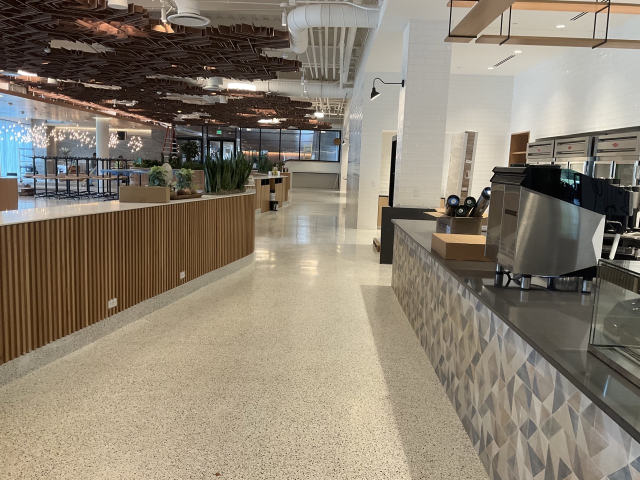 Modern, spacious cafeteria interior with wooden paneling, plants, and coffee equipment on counters.