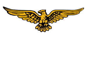 Logo with golden eagle above the words American Buildings and Nucor brand.