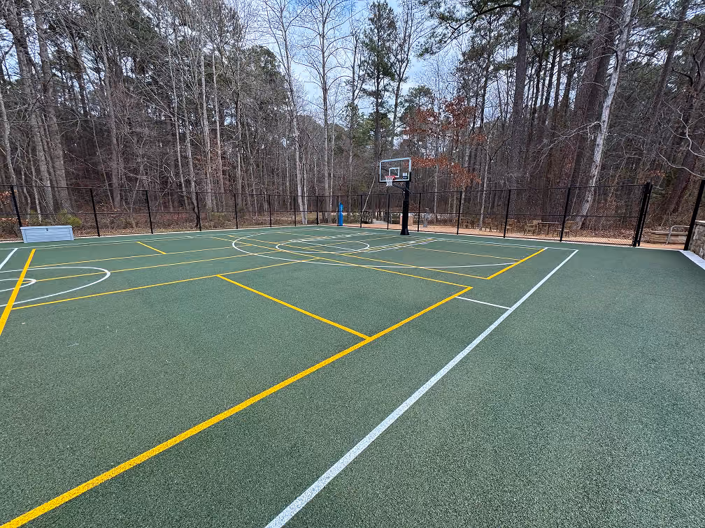 Empty outdoor sports court with basketball hoop surrounded by leafless trees and tall forest.