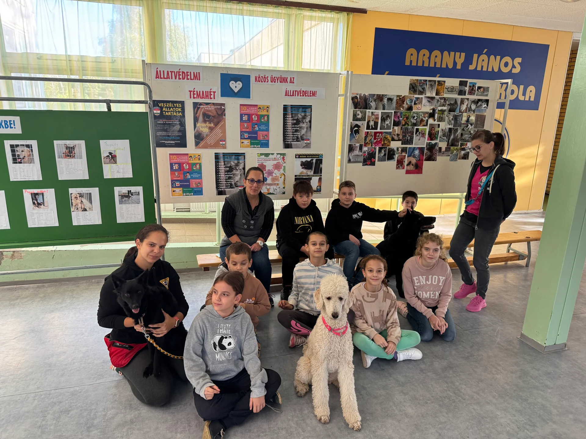Ajánld fel adód 1%-át nonprofit QUiCK felhasználóinknak Duna Dog Center Alapítvány