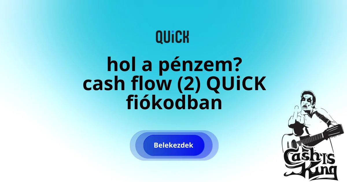 Pénzmozgások kategorizálva. Cash flow kimutatás (2)