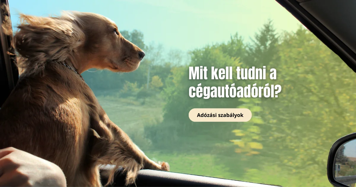 Céges autó fenntartása: Cégautóadó, adózási szabályok és levonható költségek