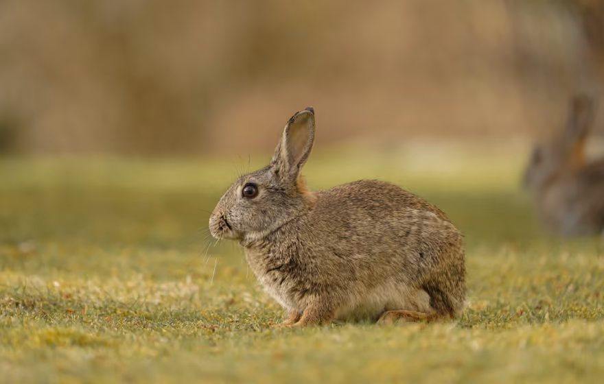 slider-image4