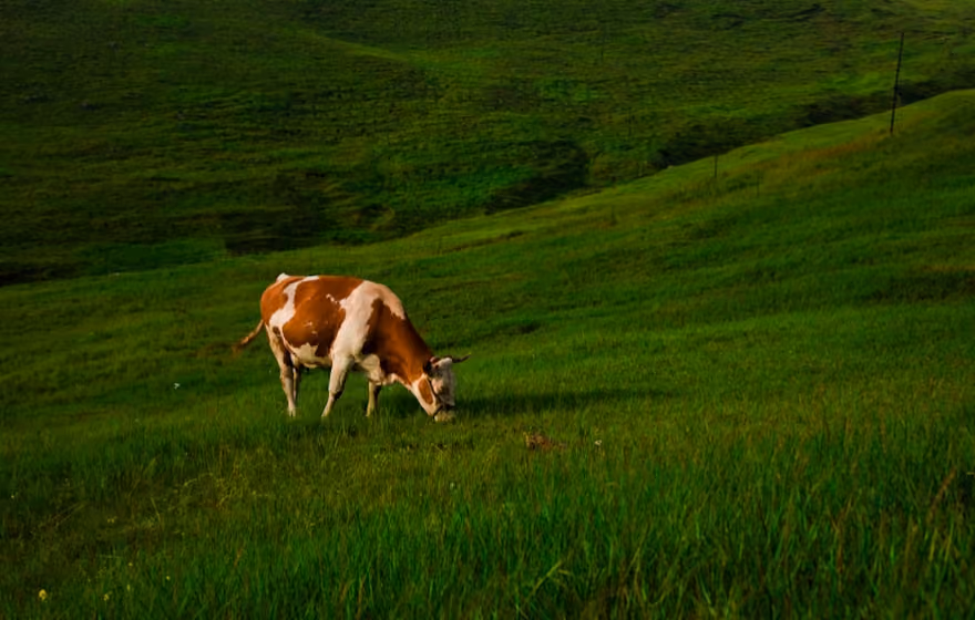 Slider-image6