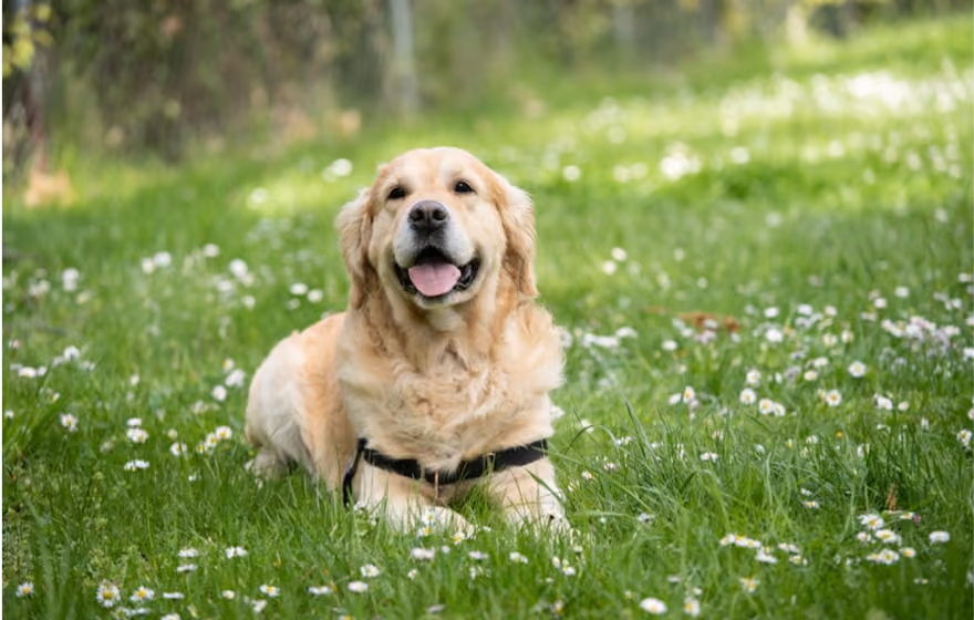 Slider-image5