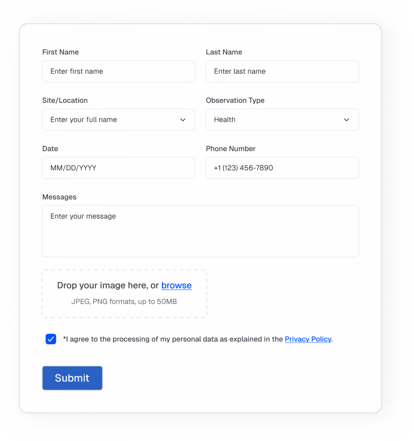 Flexible entry fields