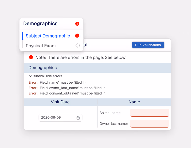 built-in-validation