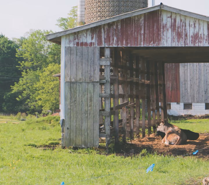 livestock-barn