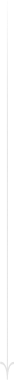 Decorative arrow