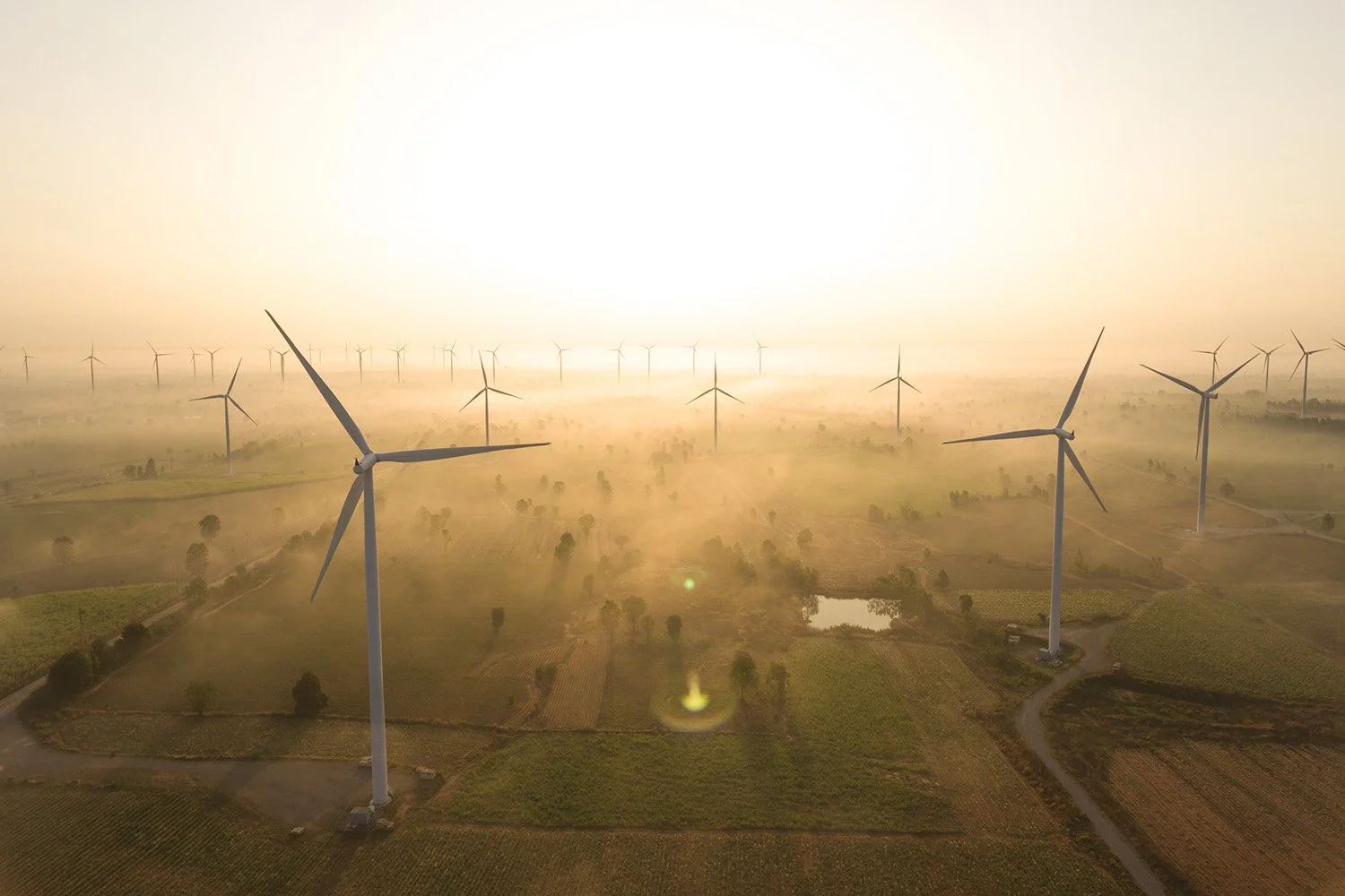 Wind turbines standing across misty farmland at sunrise