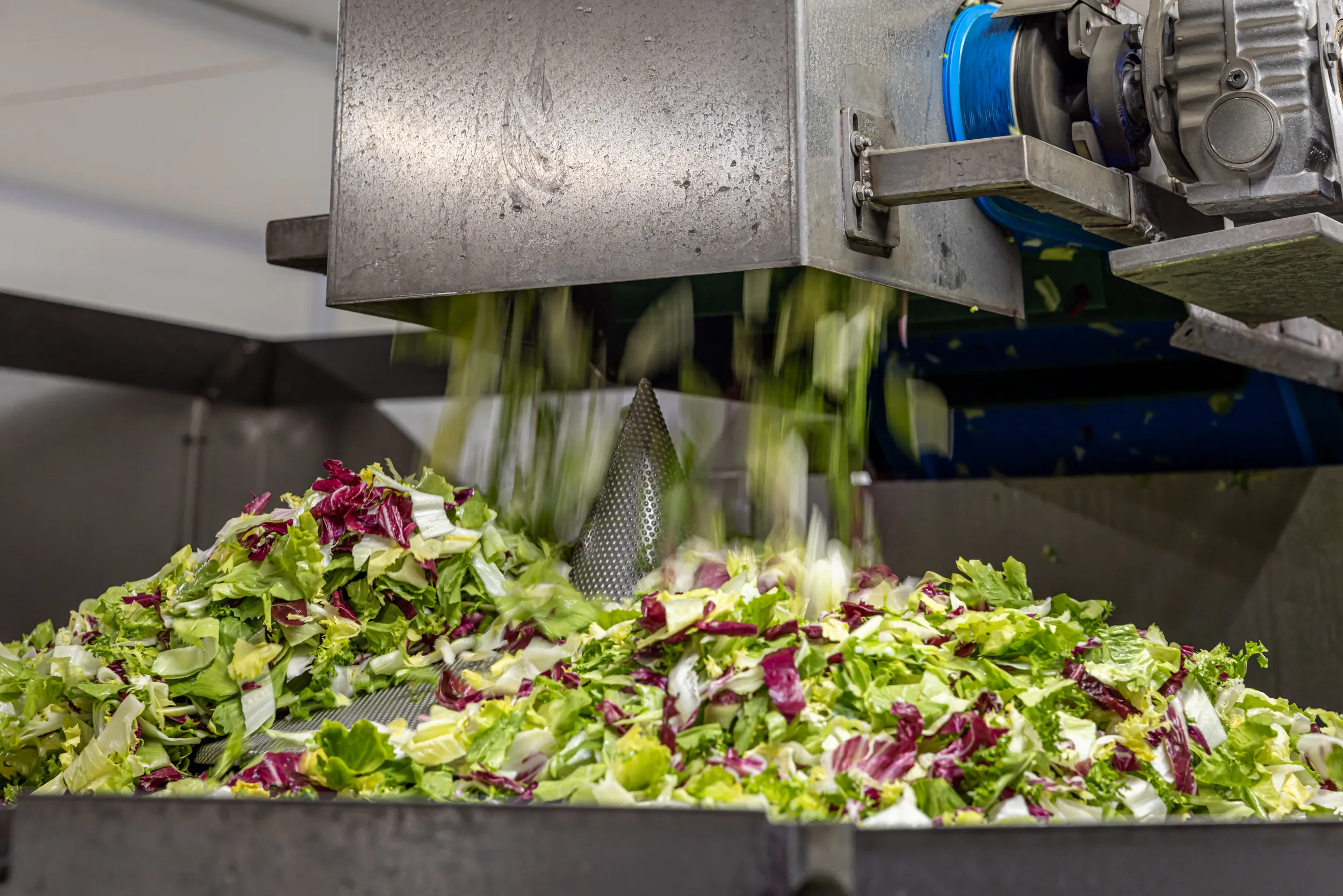 Produktionshalle mit Edelstahlanlagen für küchenfertige Produkte
